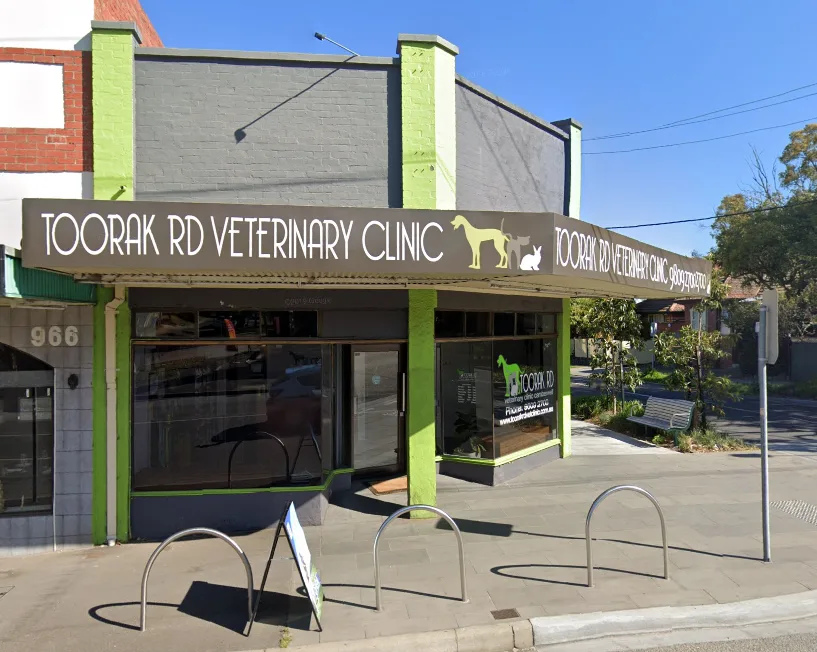 Kip Happy Stays Collection Centre in Camberwell - Melbourne pet otel görseli 2