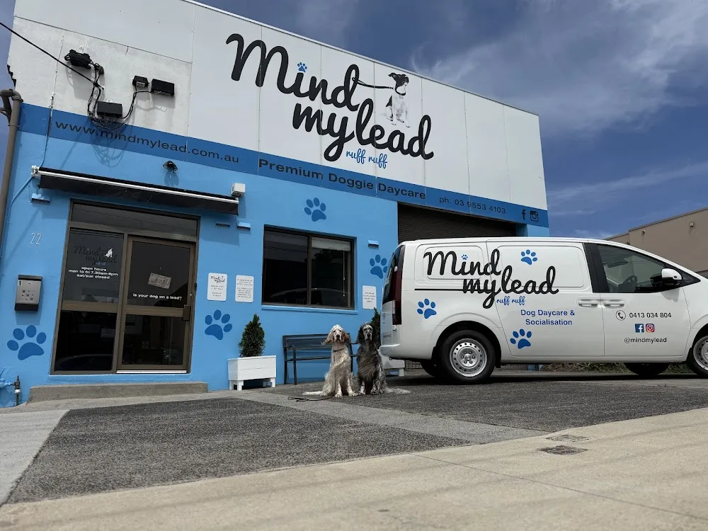Mind My Lead - Melbourne pet otel görseli 2
