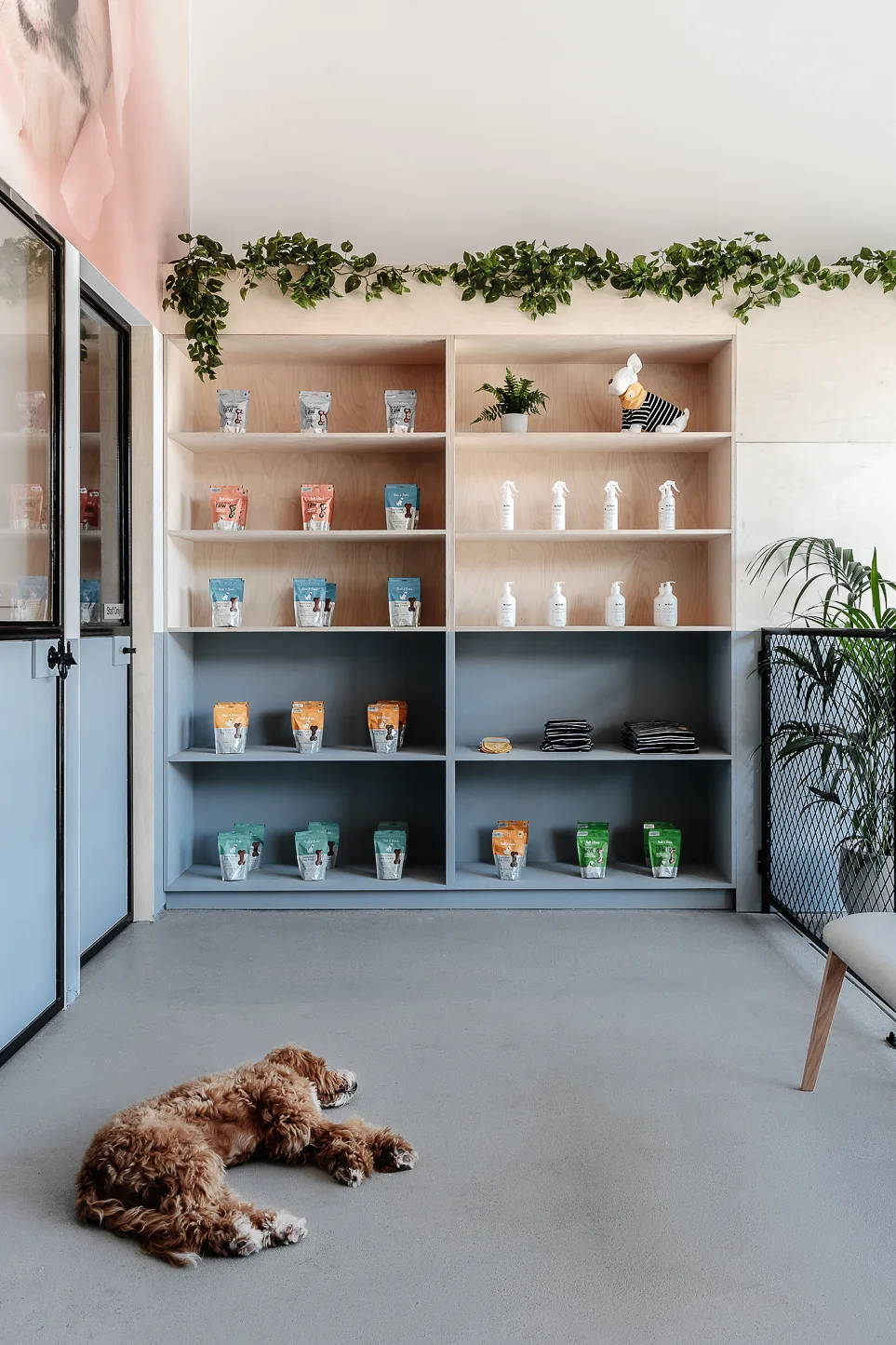 Mr Woofles Dog Daycare and Boarding - Melbourne pet otel görseli 2