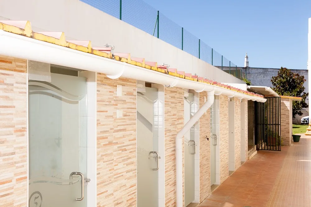 PET-HOTEL VET24H - Mendoza pet otel görseli 3