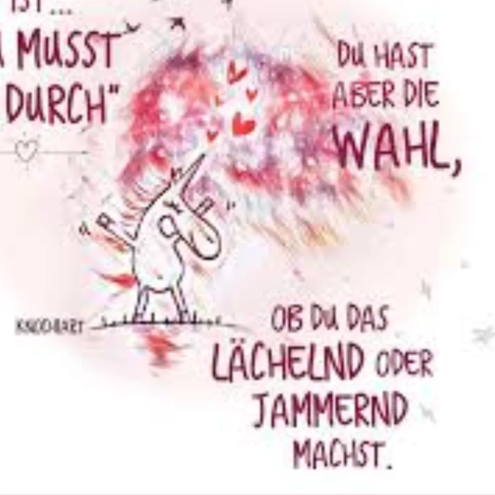 MeineKatzenpension - Menslage pet otel görseli 5