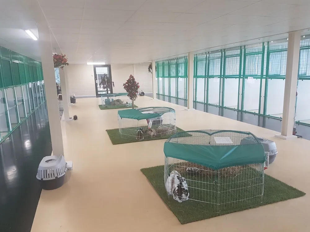 Scamps Kennels - Meols pet otel görseli 3