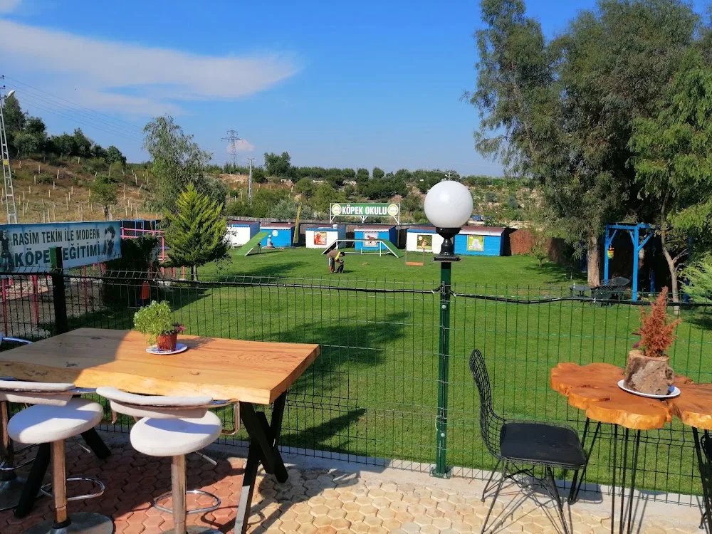 Mersin Mars K-9 Köpek Okulu Köpek Oteli - Mersin pet otel görseli 3