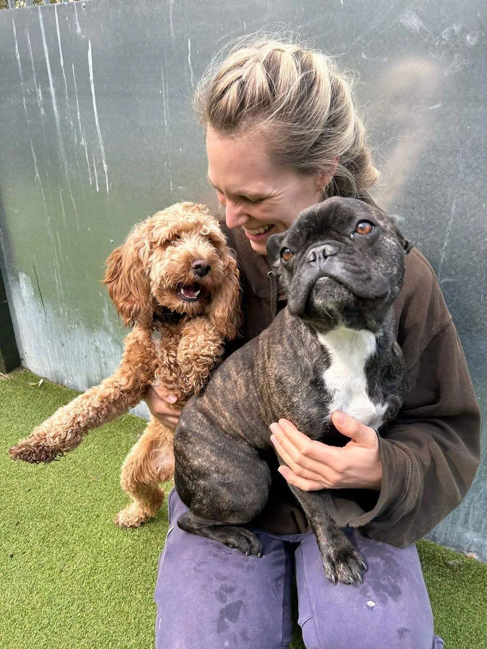 Archway Boarding Kennels - Merton pet otel görseli 2