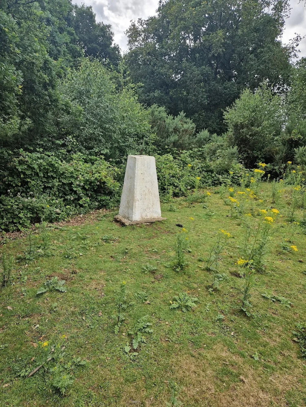 Cumnor Dog Lodge - Merton pet otel görseli 3