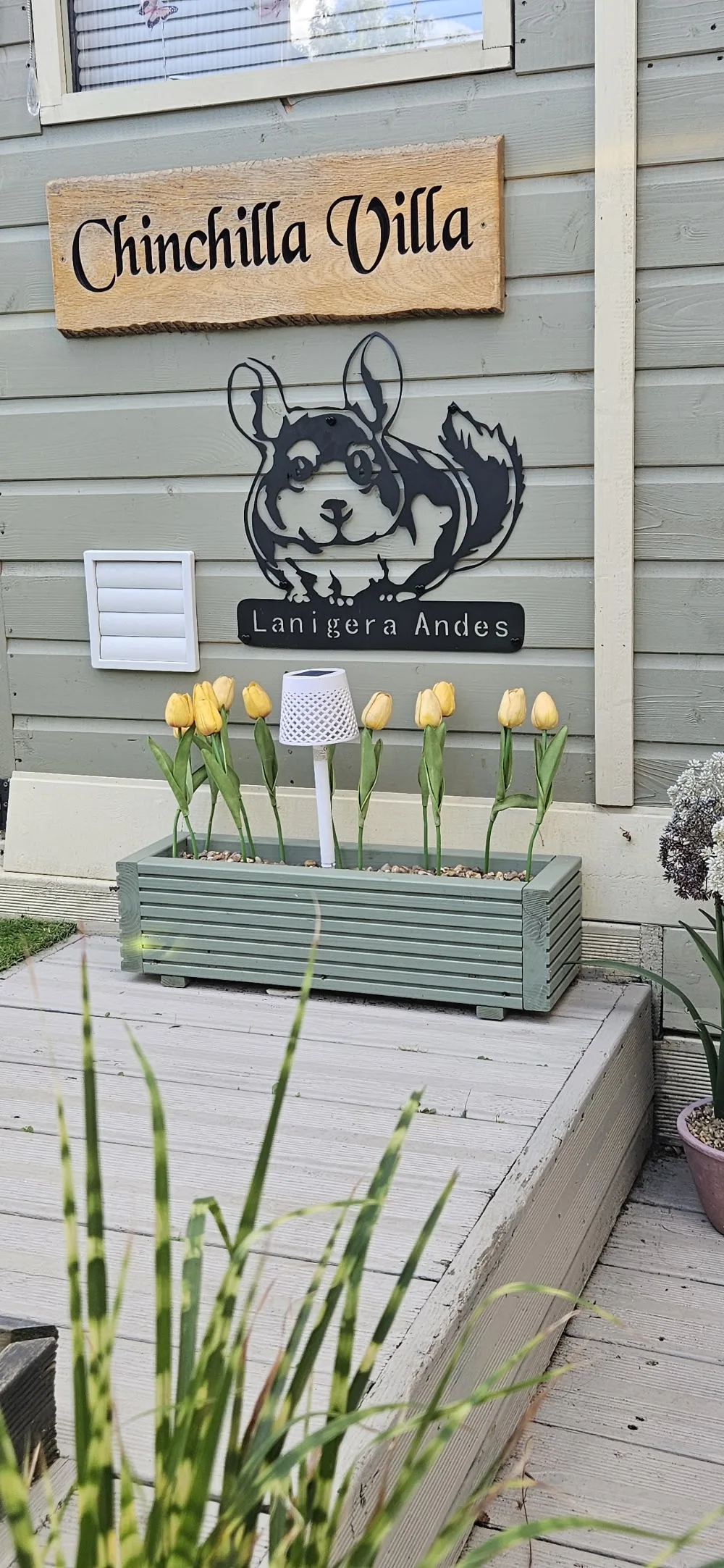 Your Pride & Joy -Home or Away - Merton pet otel görseli 3
