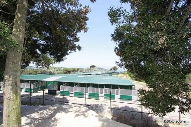 Canile Rifugio Millemusi - Messina pet otel