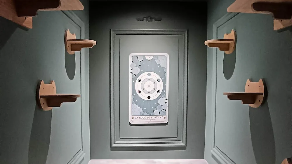 GentleCat Grand Hotêl - hôtel félin - pension premium pour chats - Métropole de Lyon pet otel görseli 3