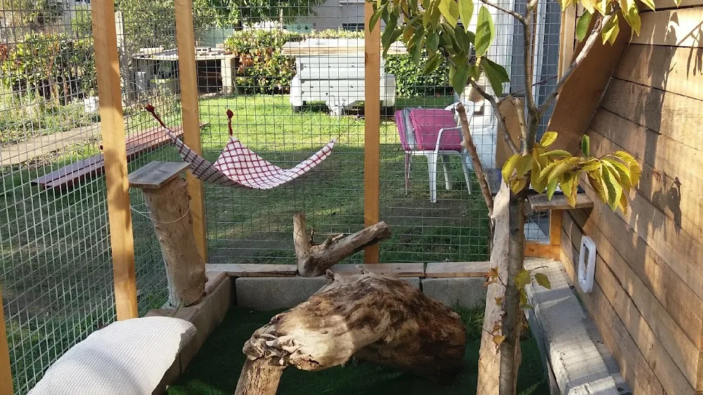 L'entr'chats pension féline sur Lyon - Métropole de Lyon pet otel