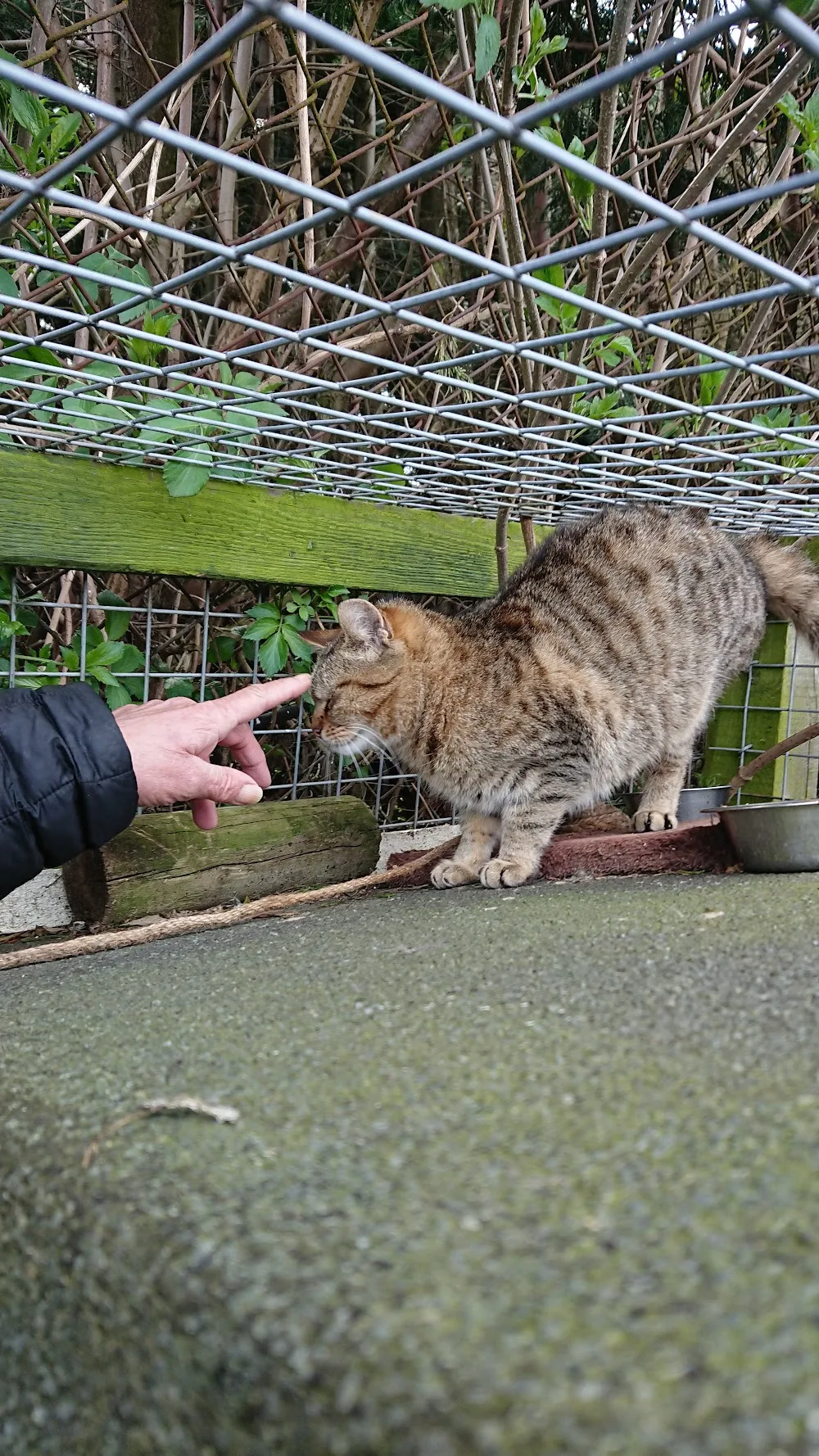 Nivensknowe Boarding Kennels & Cattery - Midlothian pet otel