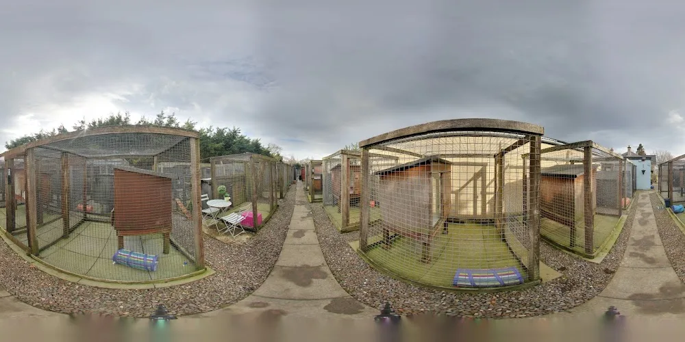 Nivensknowe Boarding Kennels & Cattery - Midlothian pet otel görseli 3