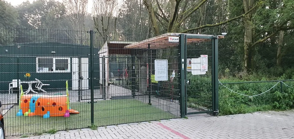 De Happy Roedel Hondendagopvang - Mijdrecht pet otel görseli 3