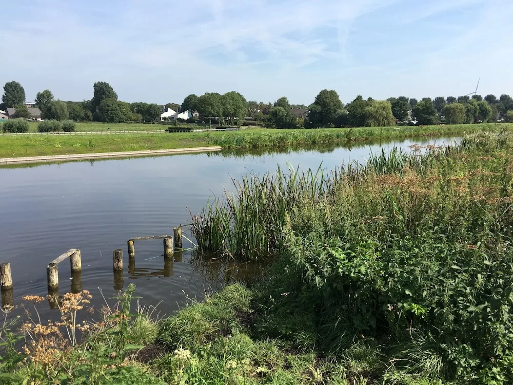 Hondenzwemplek Wickelhofpark-Ringvaart - Mijdrecht pet otel