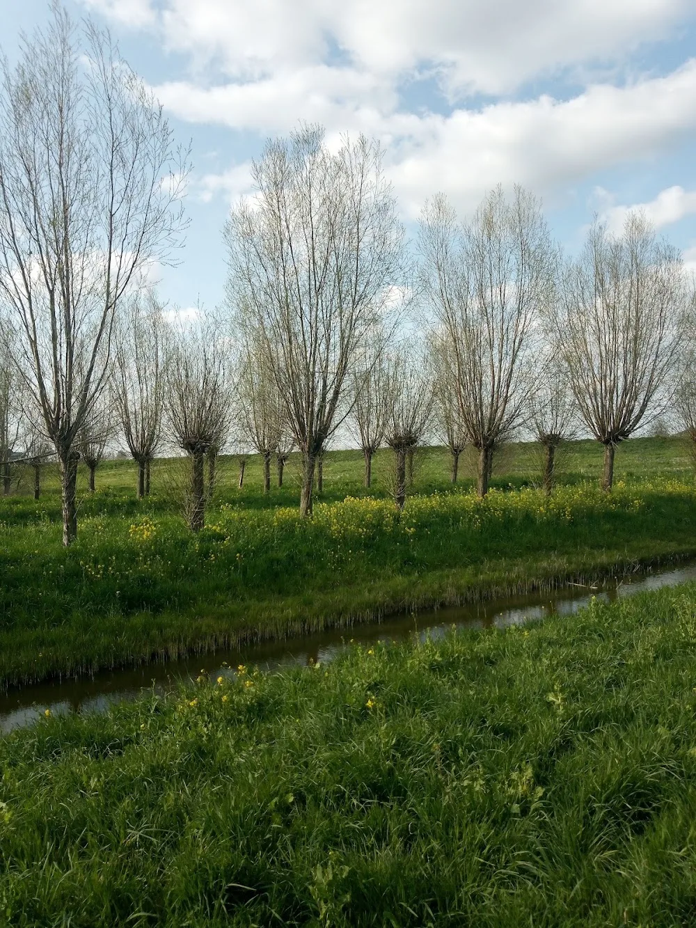 Hondenzwemplek Wickelhofpark-Ringvaart - Mijdrecht pet otel görseli 3