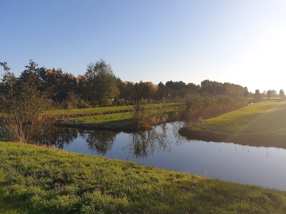 Hondenzwemplek Wickelhofpark (steiger) - Mijdrecht pet otel