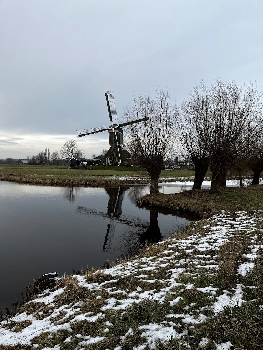 Kattenpension Kockengen - Mijdrecht pet otel görseli 3