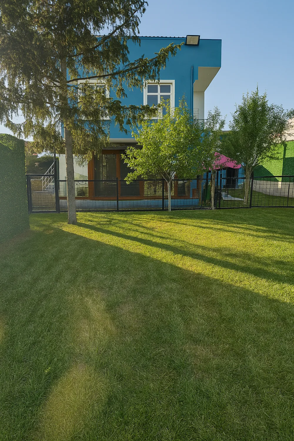 Mika Pet Kuaför - Pet Hotel Kreş - Istanbul pet otel görseli 2