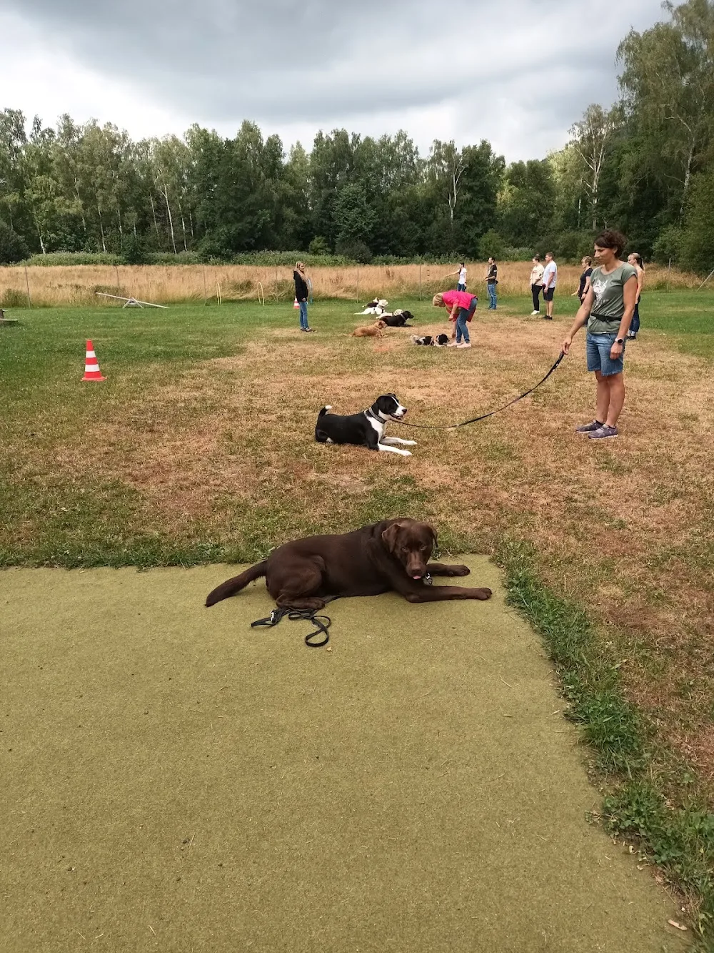 Hundeschule & Hundepension Souldog - Miltach pet otel