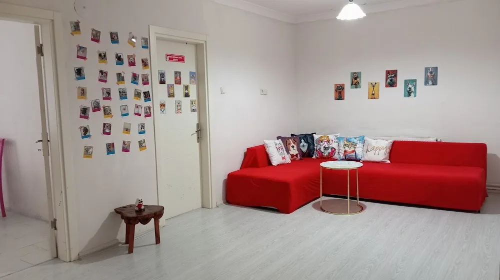 Minik Pet Otel / Kuaför - Yalova pet otel görseli 3
