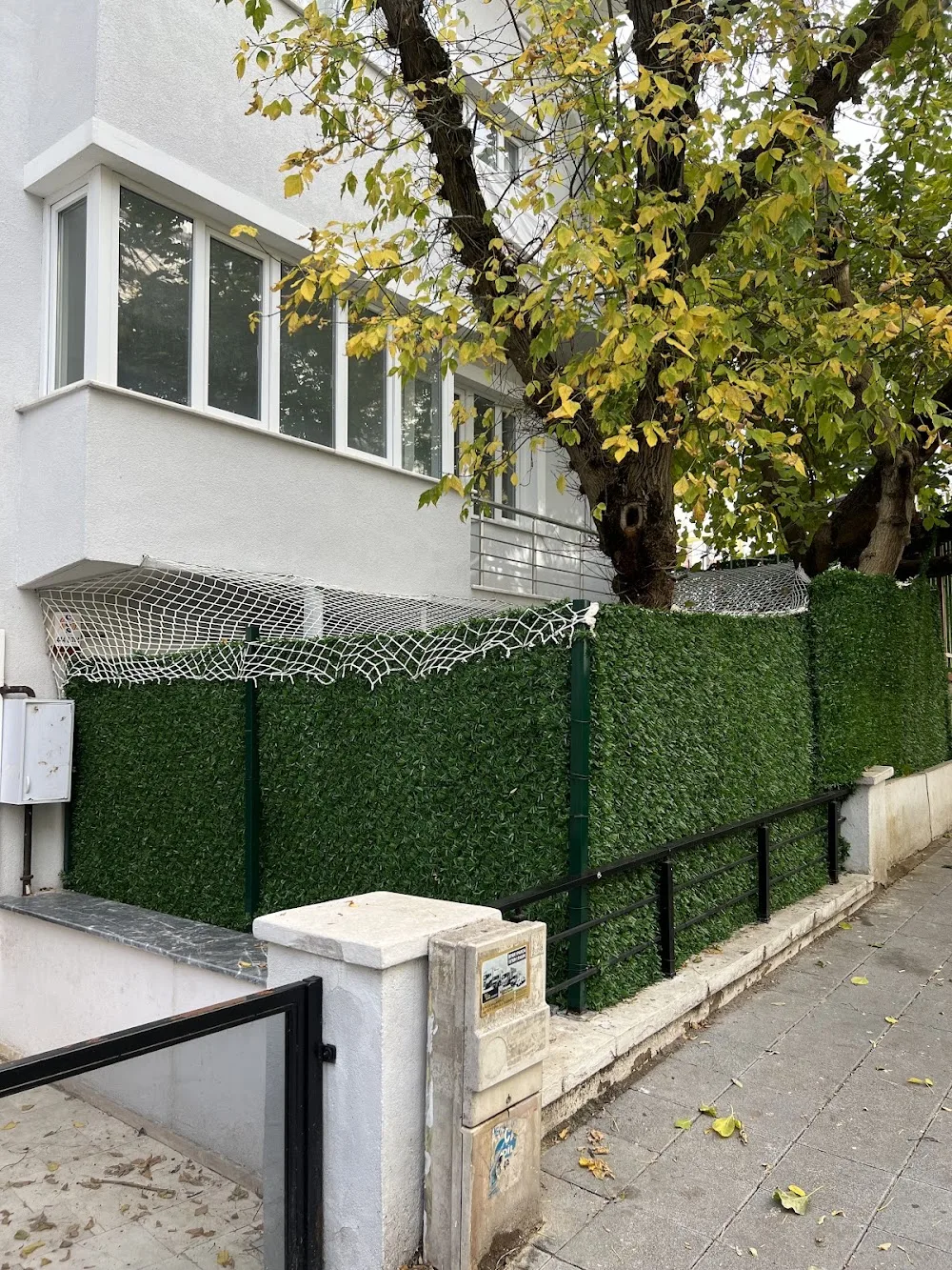 Mırmır Miyav Kedi Evi - Istanbul pet otel görseli 3
