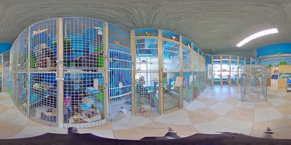 Club Bekkers kennels - Mississauga pet otel görseli 4