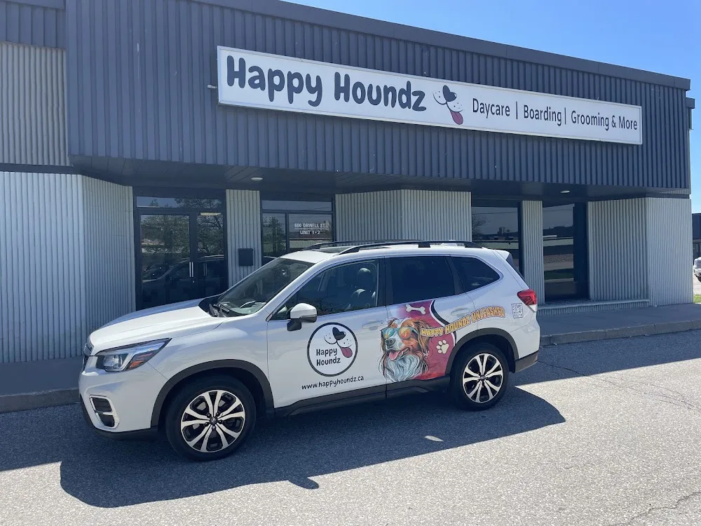 Happy Houndz Dog Daycare & Boarding - Mississauga pet otel