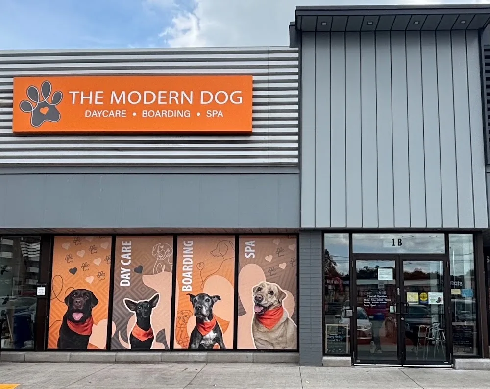 The Modern Dog Applewood - Mississauga pet otel