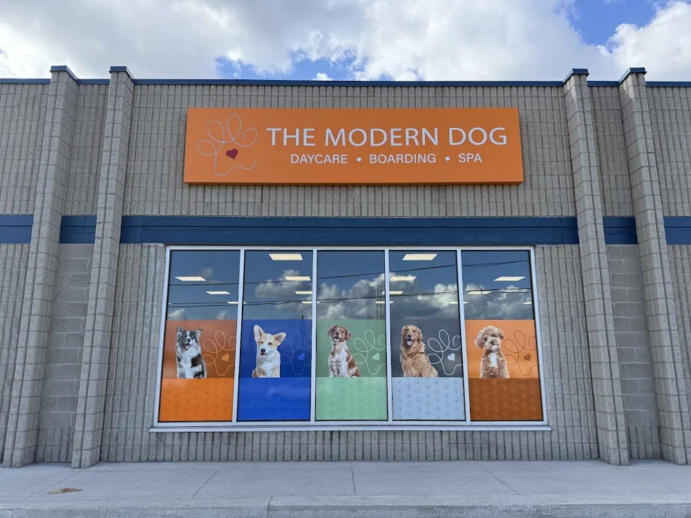 The Modern Dog Royal Windsor - Mississauga pet otel görseli 2