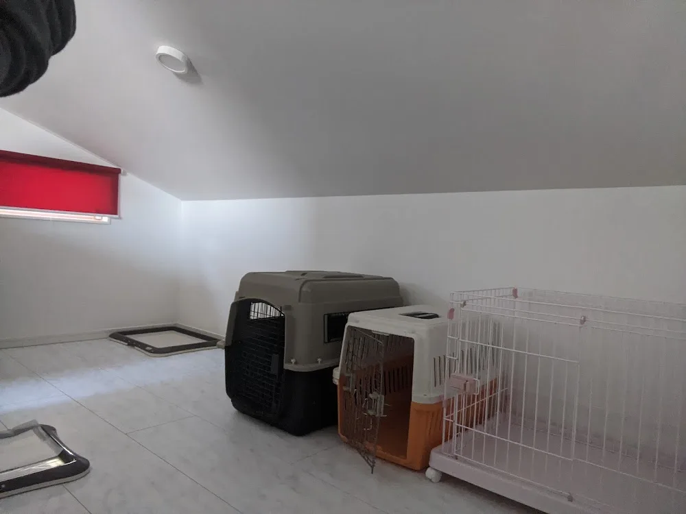 会員制DOGHOTEL&CAFE伊藤 - Miyazaki pet otel görseli 3