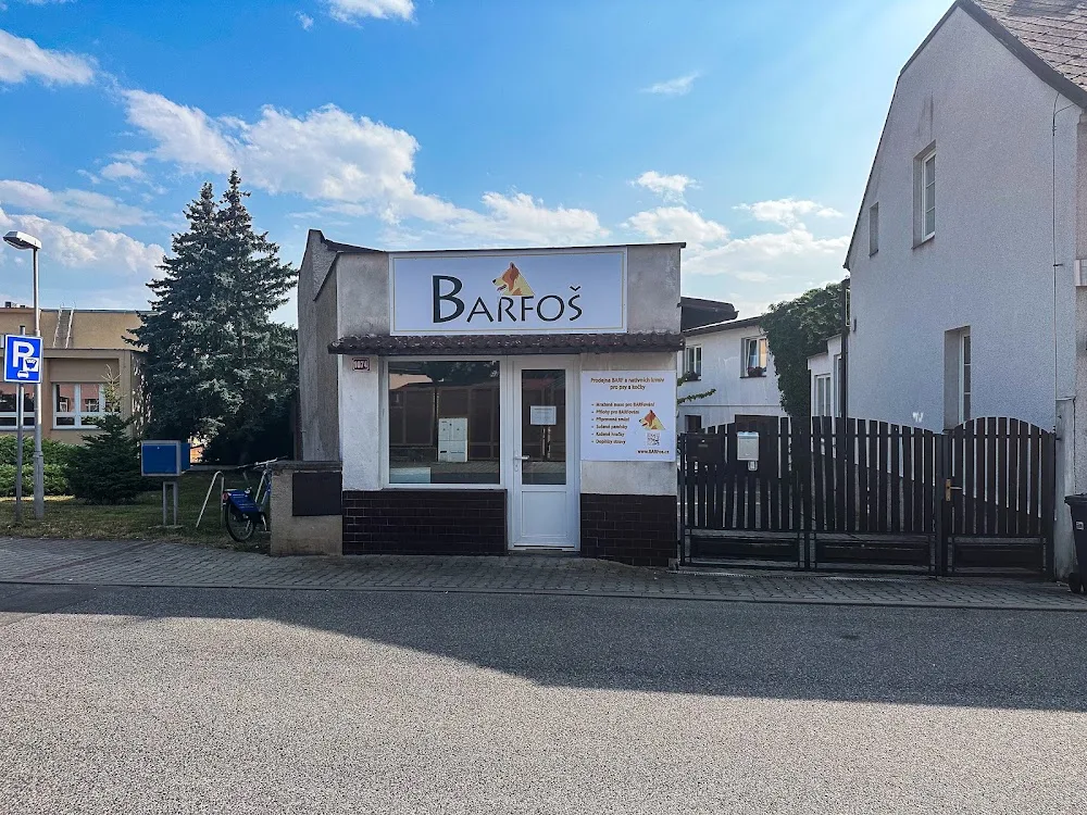 Barfoš - Mladá Boleslav pet otel
