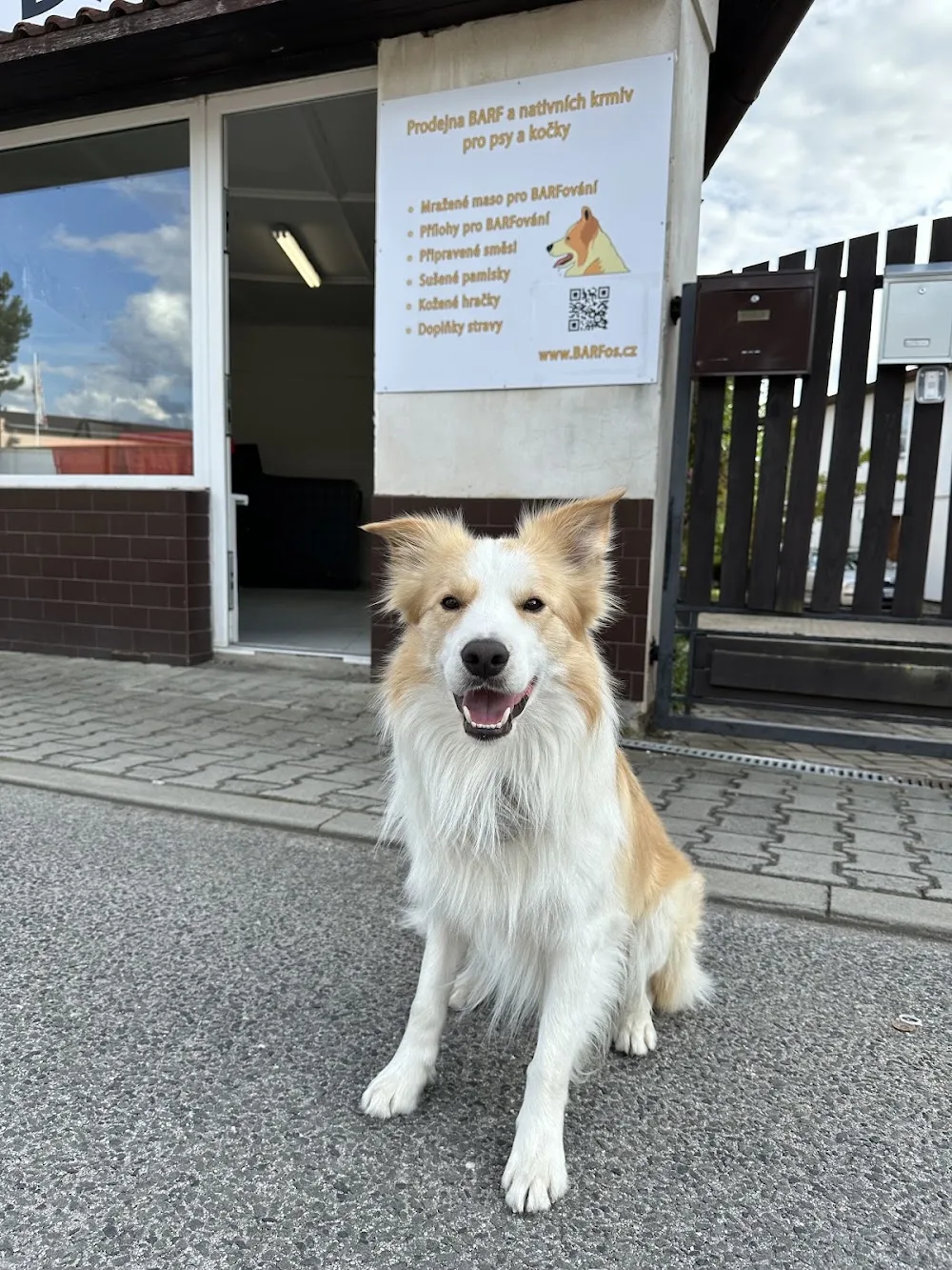 Barfoš - Mladá Boleslav pet otel görseli 3