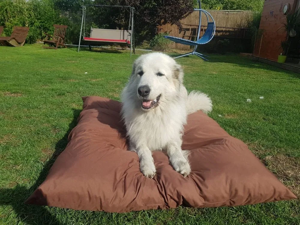 Hundehuette-Soest - Möhnesee pet otel görseli 3