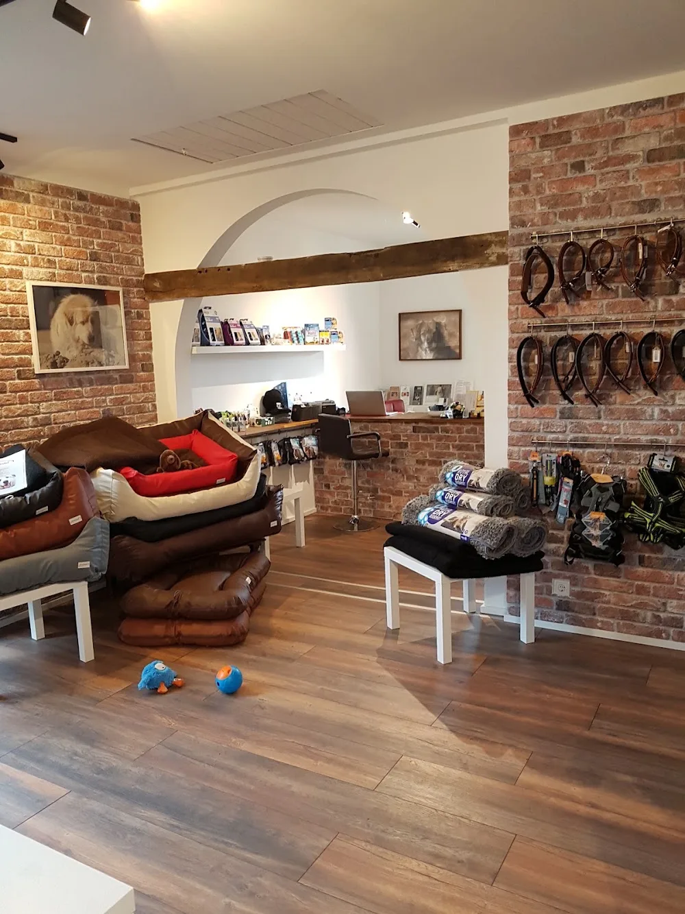 Hundehuette-Soest - Möhnesee pet otel görseli 4