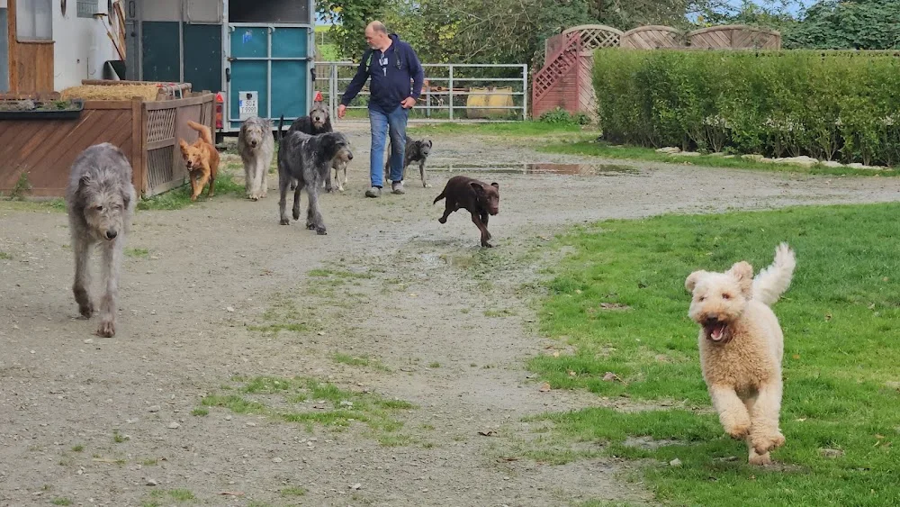 HundePension und Hundeschule - Möhnesee pet otel