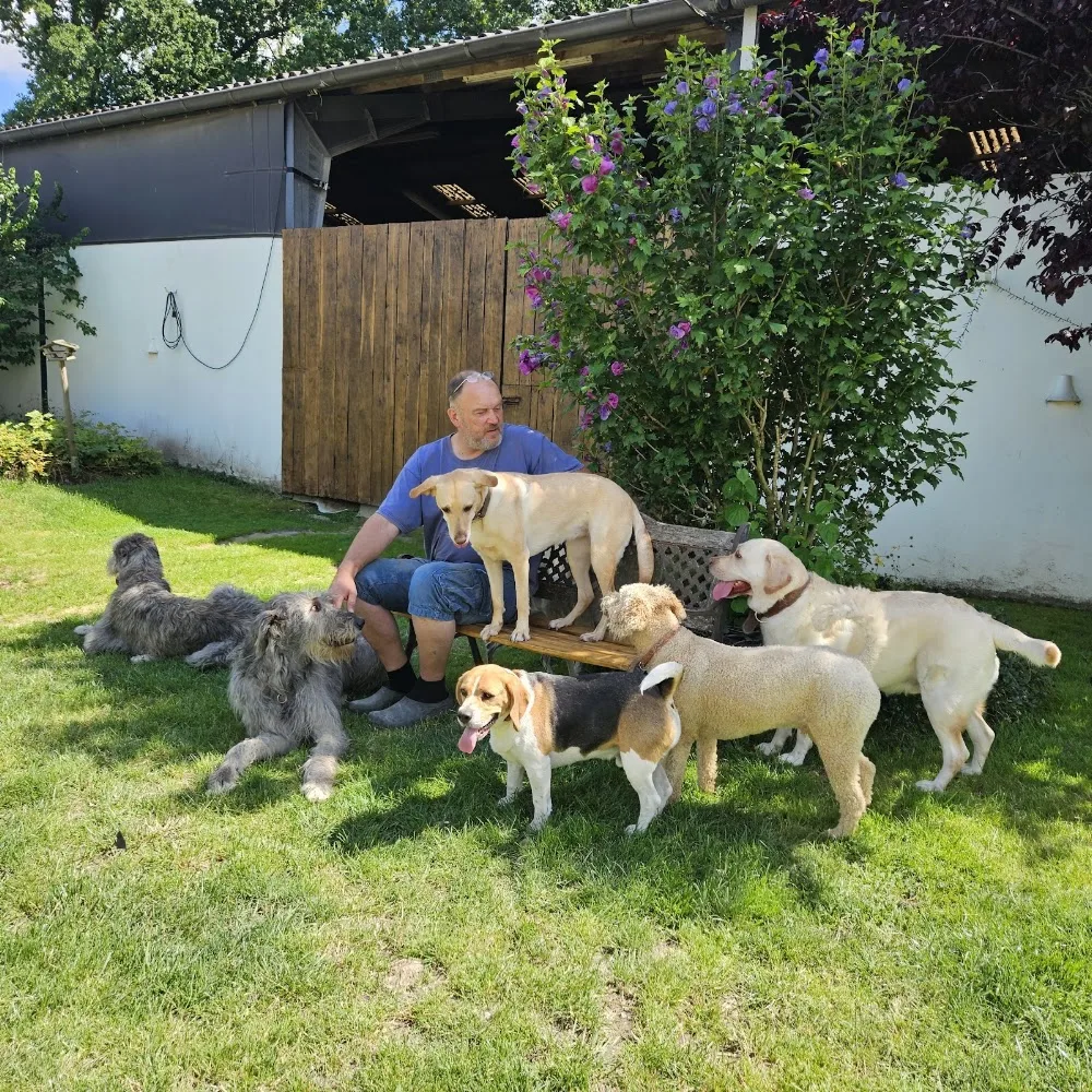 HundePension und Hundeschule - Möhnesee pet otel görseli 3