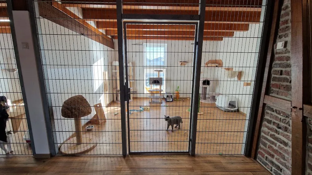 Katzenpension Gut Berlinghoff - Möhnesee pet otel görseli 6