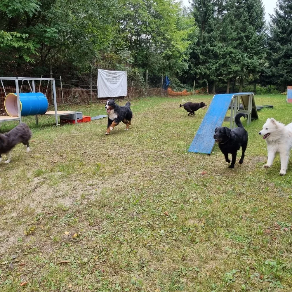 Pfotenranch Sellmecke - Möhnesee pet otel görseli 3