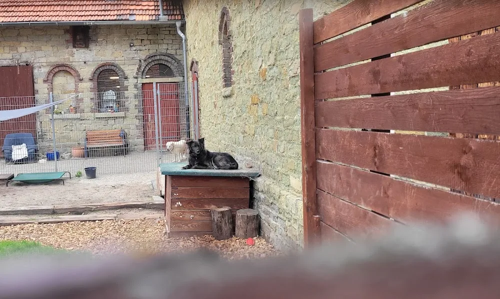 Pfotenwohl Hundehotel - Möhnesee pet otel görseli 3