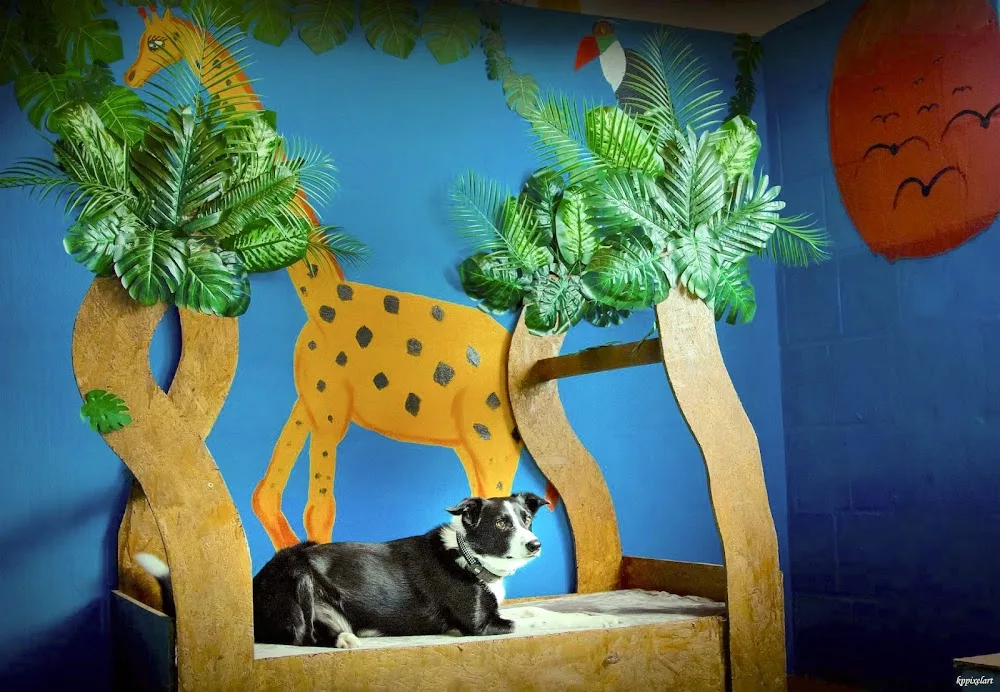 Tier-Resort & Hundeschule Diana - Möhnesee pet otel görseli 3