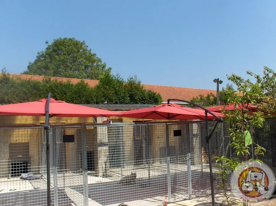 Aux Petits Soins - Molenstede-Diest pet otel görseli 6