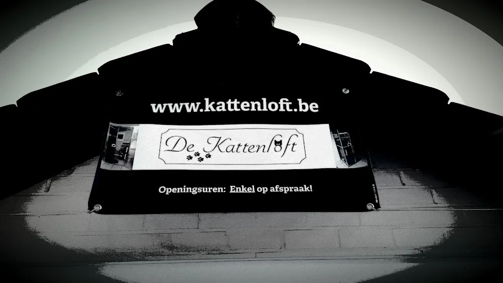 De Kattenloft - Molenstede-Diest pet otel