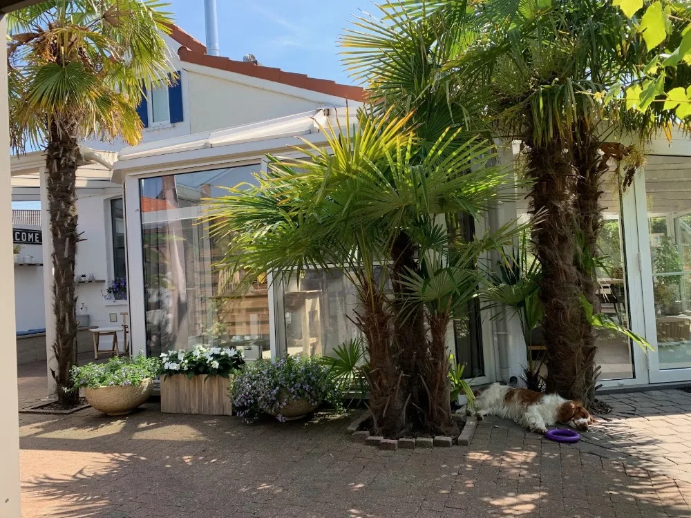 Huisje Hondtevree - Molenstede-Diest pet otel görseli 3