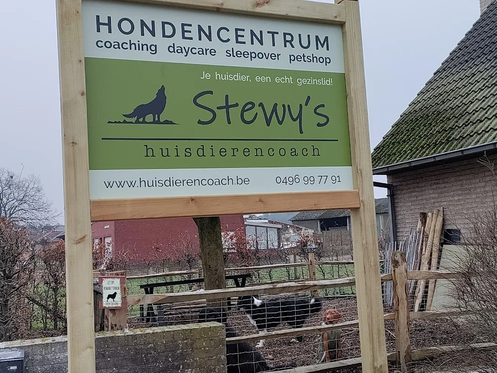 Stewy's hondencentrum - Molenstede-Diest pet otel görseli 2