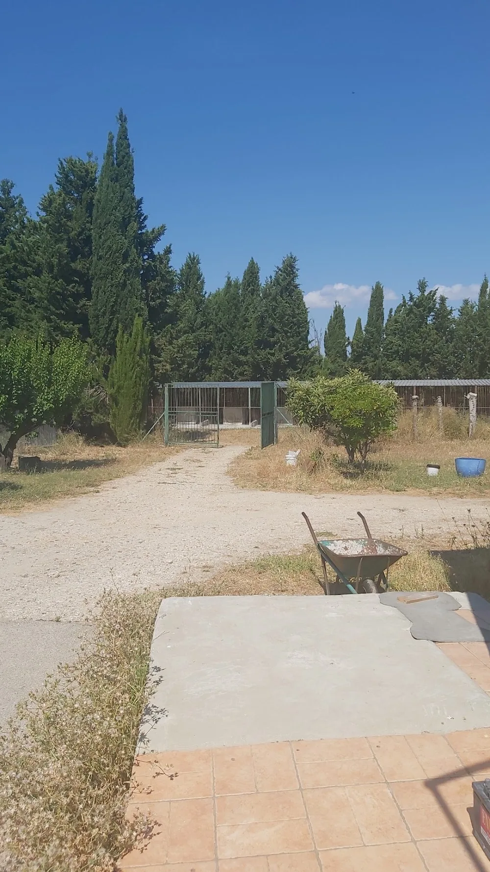 Canile D'Addario - Molise pet otel görseli 3