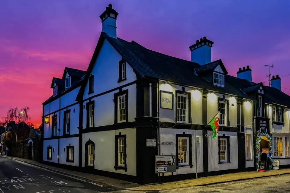 Greyhound Inn and Hotel Usk - Monmouthshire pet otel görseli 4