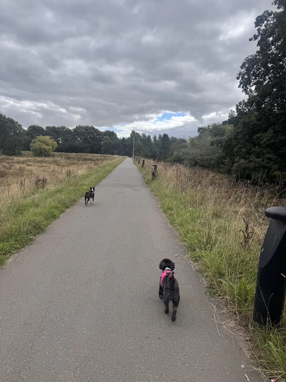Hank’s Haven - Monmouthshire pet otel