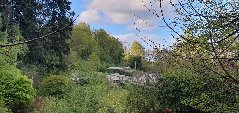 Precious Pets - Boarding Kennels & Cattery - Monmouthshire pet otel