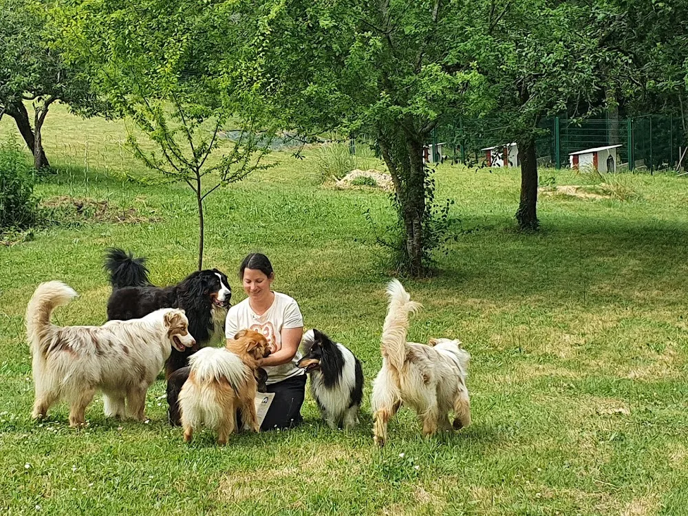 Le Chalet des 4 pattes du Lary - Montlieu-la-Garde pet otel