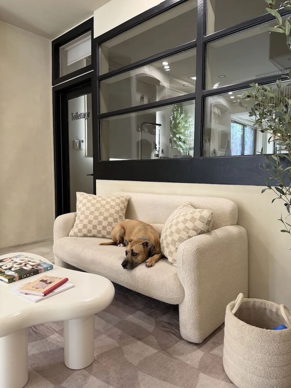 ATD Clubhouse (Pour Tous Les Chiens) - Montreal pet otel görseli 3