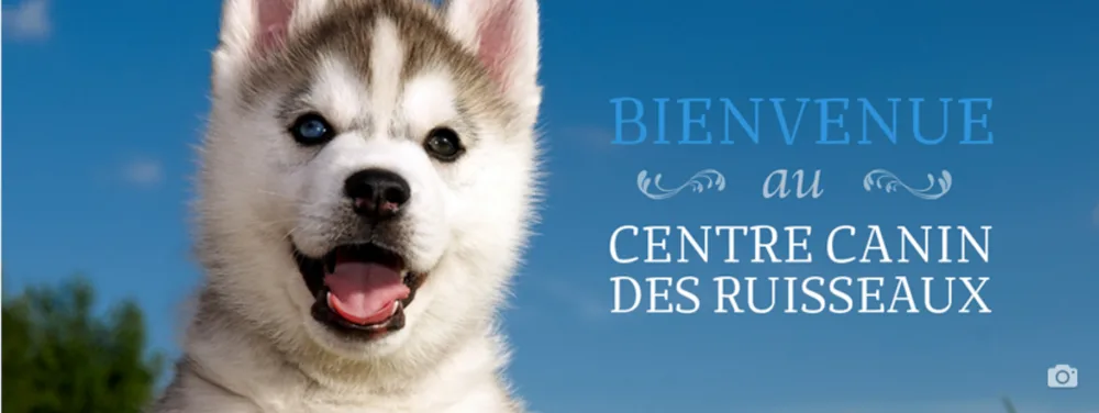 Canine Center Des Ruisseaux - Montreal pet otel